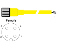 Ramco Molded Cordset M12-FS4-PVC-5M Straight M12 4 Wire 5 Meter