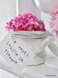Zsazsa Bellagio Hydrangea Bloom Flower Quotes Hydrangea Not Blooming