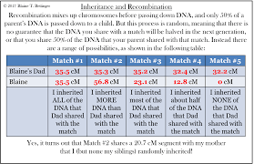 Inheritance Of Dna Segments The Genetic Genealogist
