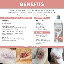 Image result for hotspot dogs