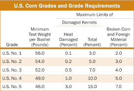 U S Corn Grades And Grade Requirements 4 U S Grains