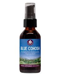Image result for Blue Cohosh