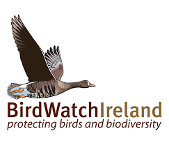 Birdwatch Ireland Ien