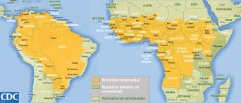 Image result for Yellow Fever