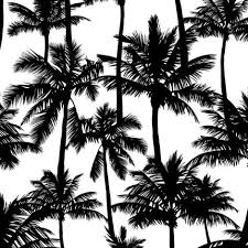 Aesthetic Black And White Palm Tree Wallpaper Wallpaper Palm Trees Black And White Small Black Palm Tree Silhuettes White Background Black And White Monochrome Tropical Palm Leaves Summer Tropical Fores En 2020 Silueta De Palmera Fondos De
