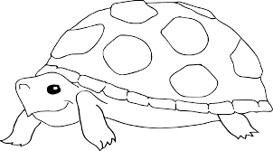 Designer version lets you place an image in the background and trace over it as well. Colouring Pages Edding
