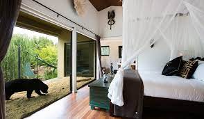 Dubbo is a thriving regional city in new south wales, approximately 400 kilometres west of sydney. Australia S 5 Best Zoo Sleepovers Australian Traveller