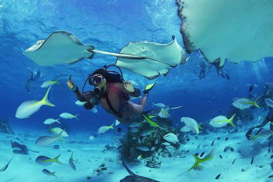 Snorkeling vs. Scuba Diving: Which Is Right for You? – Panama Jack®