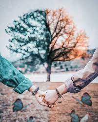 100 Most Romantic Couple Images In Hd Free Download Romantic Couple Images Love Couple Images Hd Romantic Love Couple