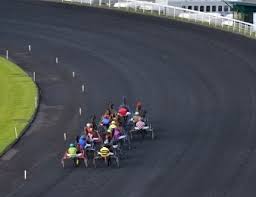 Pour lire nos avis sur les partants du quinté, passez votre souris sur les smileys. Quinte Plus Pmu Tous Les Feux Sont Au Vert Pour Up The Green Quinte Zone Turf Fr