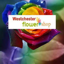 What is moonflower west chester pa? Westchester Flower Shop Westchesterflowers Profile Pinterest