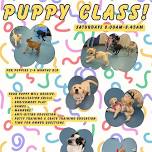 Puppy Training Class