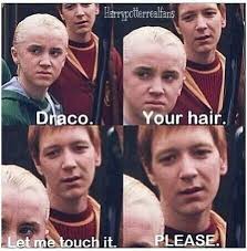 Draco himself has become the star of many jokes since he is meant to serve as one of the characters we are not meant to relate with. Draco Malfoy Memes Fandom