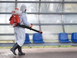 Cuanto Tarda En Pasar El Coronavirus Se Inmunizan Los Enfermos De Covid 19