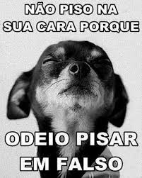 Pin On Humor