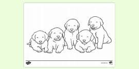 Various coloring pages for kids, and for all who are interested in coloring pages, can get amazing pictures easily through this portal. Free Cute Puppy Colouring Page Colouring Activity For Kids