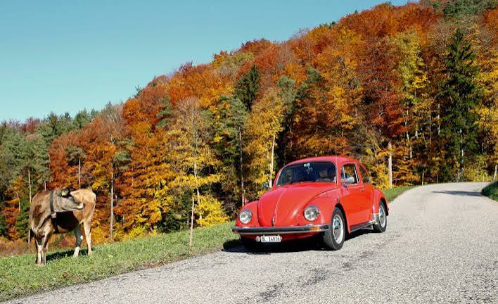 Volkswagen to stop making the Beetle after 81 years | PBS News