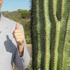How does asl compare with spoken language? Cactus Field Ii By Francois Plan B