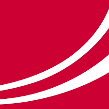 Vidal Logo