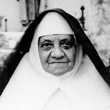 Jessie Ripoll Primary School