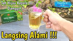 Negara jepun terkenal dengan cara pemakanan mereka yang sihat dan juga budaya minum teh hijau dalam setiap hidangan. Langsing Secara Alami Dengan Teh Hijau Youtube