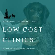 Our doctors and staff will care for your pet as if they were their very own. Low Cost Spay Neuter Vs Vet Ponderosa Veterinary Clinic