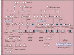 the role of mutation foundations of genetics the