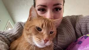 Chased dog through neighbor's bushes last night