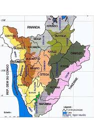 Image result for Raphidiocystis phyllocalyx