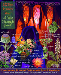 We did not find results for: Ghosts And Flowers The Paradoxes Of Posttraumatic Growth The Art Of Healing Trauma
