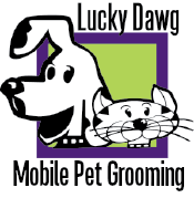 Our pet groomer near me offers professional cuts, baths, nail trims, teeth brushing, and more for your precious please note, we are not a mobile pet grooming service! Pet Grooming Salon Torrance Lucky Dawg Pet Services