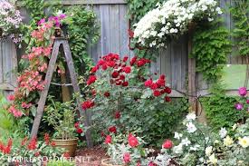12 Colorful Garden Ideas To Kick It Up A Notch Empress Of Dirt Garden Art Colorful Garden Hanging Plants Diy