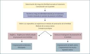 Referencia Y Manejo De La Paciente En Riesgo De Infertilidad Inducida Download Scientific Diagram