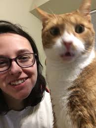 Dont know whose idea it is to take pics like this :/ I know my cats would  not like this grrrr Can they not just take proper pictures !! ERRANTS/LOST  CAT at