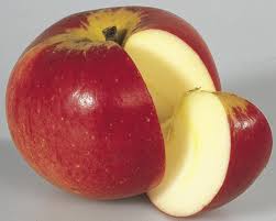 Das leben ist wie ein apfel. Apfel Paradis Werdenberg Malus Frisch Aus Der Baumschule Kaufen