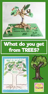 Learning About Trees Preschool Activities Tree Study Earth Day Activities
