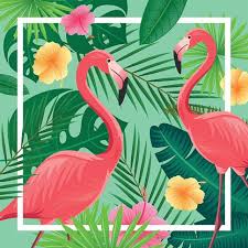 Calendar, frames and photo frames, invitation png and psd formats | download. Vector Background With Tropical Leaves Flowers And Flamingos Vector Images