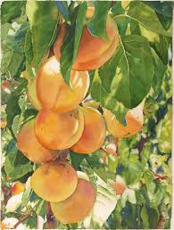Fruit Life In Full Color Fruit Painting Watercolor Fruit Watercolor Flowers