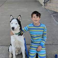 Check spelling or type a new query. Best Puppy Obedience Classes Near Me July 2021 Find Nearby Puppy Obedience Classes Reviews Yelp