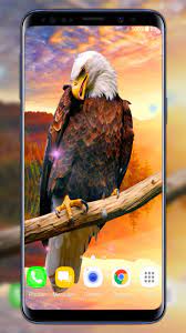 Birds Live Wallpaper Birds Animals Wallpaper Live Wallpapers Eagle Wallpaper Birds
