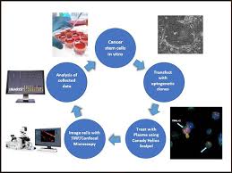 Microscopy And Cell Biology Chart Jcri Abts