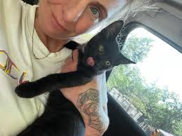 Is flea market in Andover open