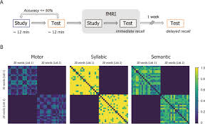 We hope you enjoy using this. Graphomotor Memory In Exner S Area Enhances Word Learning In The Blind Communications Biology