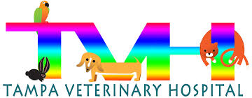 10028 cross creek blvd, tampa (fl), 33647, united states. Tampa Veterinary Hospital Home Facebook