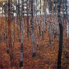 Beech Forest I Gustav Klimt 1902 Oil On Canvas 100 X 100 Cm Gemaldegalerie Neue Meister Dresden Ger Gustav Klimt Klimt Paintings Beautiful Oil Paintings
