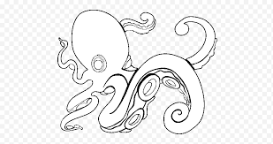 April 30, 2017 ~ and she said, the expert said, pointing and holding up my book, that i was, and i quote, a master of the white space. Octopus Drawing Line Art White Head Giant Pacific Octopus Cartoon Coloring Book Png Klipartz