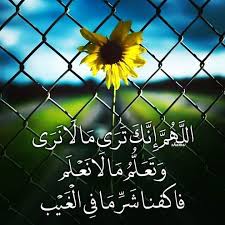 اللهم اجعل خير أعمالنا خواتمها وخير أعمارنا أواخرها وخير أيامنا يوم نلقاك اللهم اغفر لنا ما مضى واصلح لنا ما بقى واكتب لنا رضاك و Neon Signs Neon Flowers