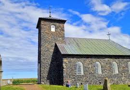 Image result for Tragia kirkiana