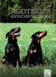 Image result for jagdteriér