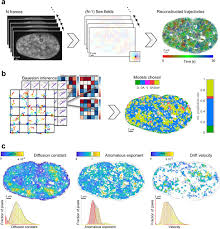 Result senarai keputusan nama pemenang ssp bsn sijil simpanan premium rm1 juta & mercedes, bila tarikh cabutan serta tips menang 2021. Nanoscale Mapping Of Chromatin Dynamics In Living Cells Biorxiv
